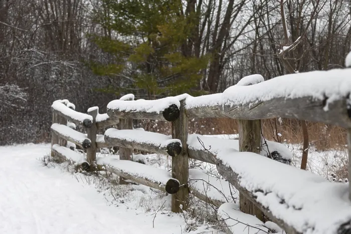 Framed Print : Snow-covered wooden fence in a wintry forest setting with calm atmosphere in London