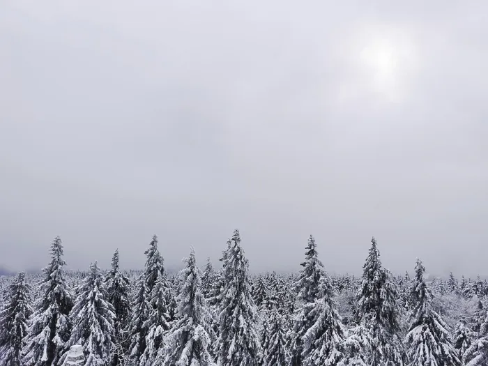 Framed Print : The snow covers treetops while weak light breaks through a wintry sky