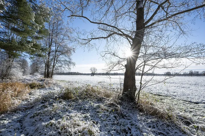 Framed Print : Snow, forest edge in winter, Barnbruch nature reserve