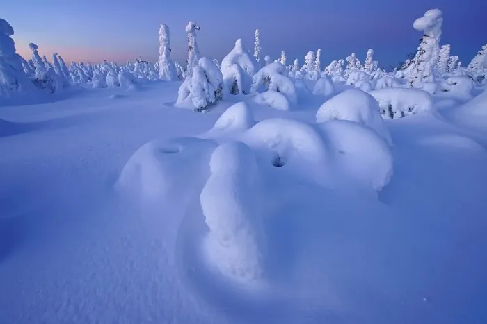 Framed Print : Snow landscape, Kuntivaara, Finland, Europe Framed Print : Snow landscape, Kuntivaara, Finland, Europe