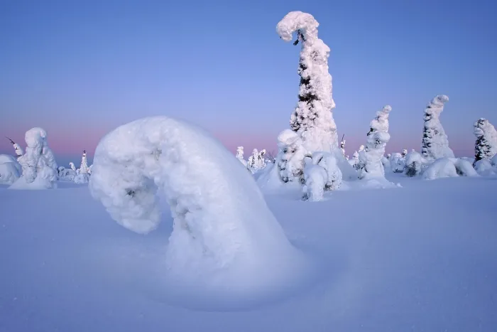 Framed Print : Snow landscape, Kuntivaara, Finland, Europe Framed Print : Snow landscape, Kuntivaara, Finland, Europe