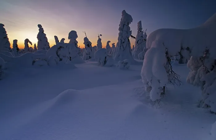 Framed Print : Snow landscape, Kuntivaara, Finland, Europe Framed Print : Snow landscape, Kuntivaara, Finland, Europe