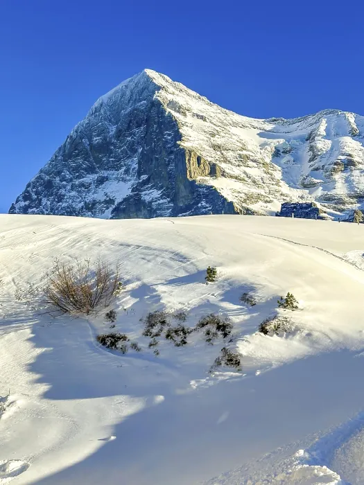 Framed Print : Snowcapped Mountain Peak Eiger North Face at 3970 Meter High in a Sunny Winter Day with Blue Sky in Grindelwald
