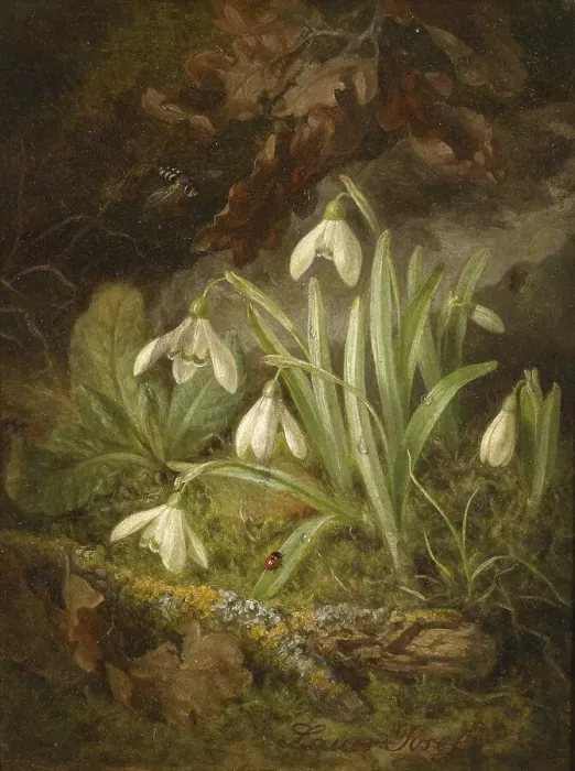Framed Print : Snowdrops in the forest with moss and insects under soft lighting
