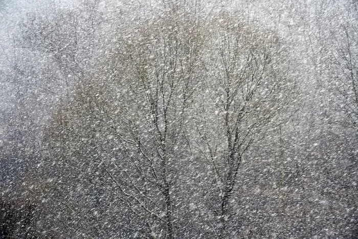 Framed Print : Snowfall, Karlovy Vary, Czech Republic, Europe