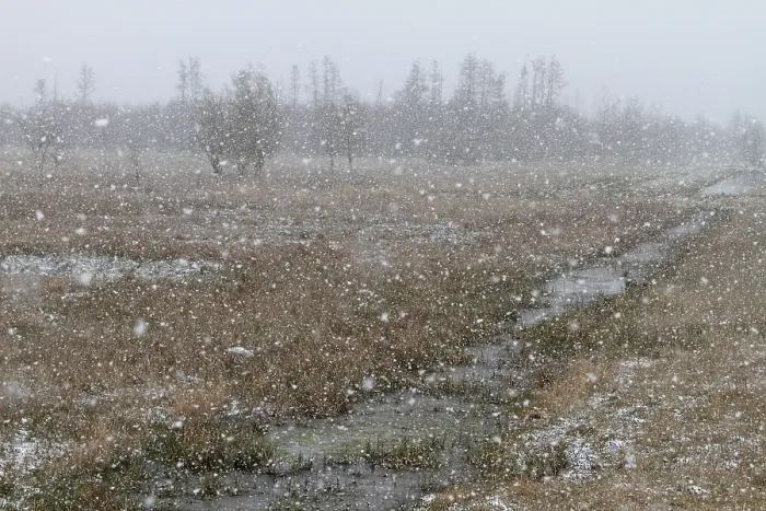 Framed Print : Snowfall over the moor in spring