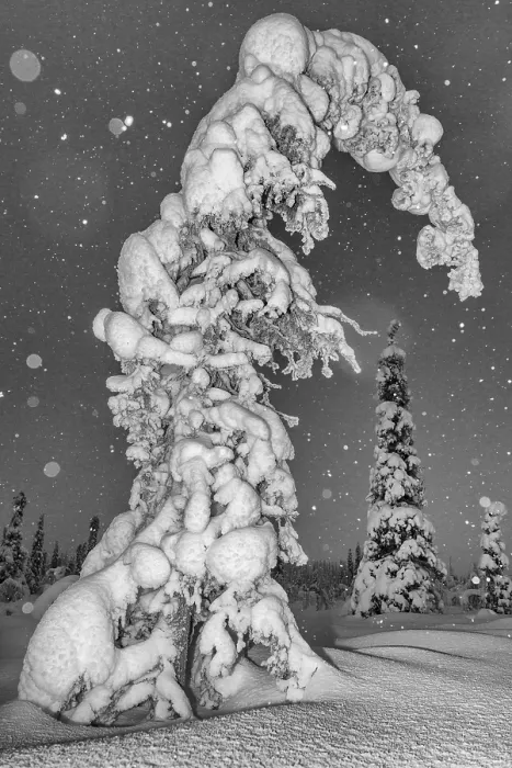 Framed Print : Snowfall in a snow-covered landscape