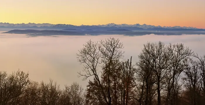 Framed Print : Snowy Alps over a sea of fog in morning light