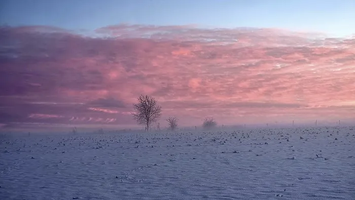 Framed Print : A snowy field under a pink sky at sunset