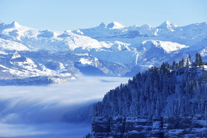 Framed Print : Snowy fir forest above clouds, central Swiss Alps behind