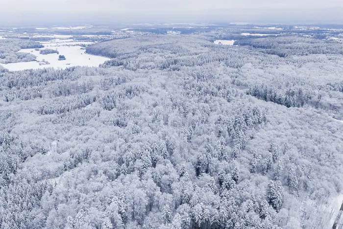 Framed Print : Snowy forest landscape seen from the air with dense trees Framed Print : Snowy forest landscape seen from the air with dense trees
