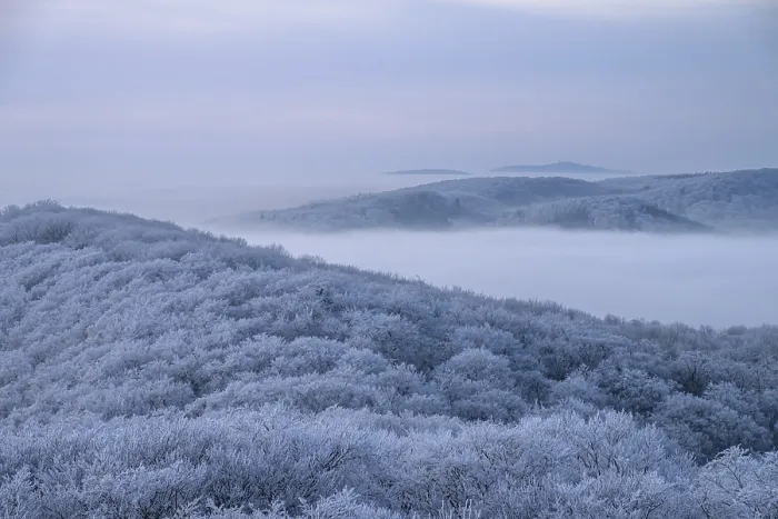 Framed Print : Snowy hills with trees and gentle fog in the distance