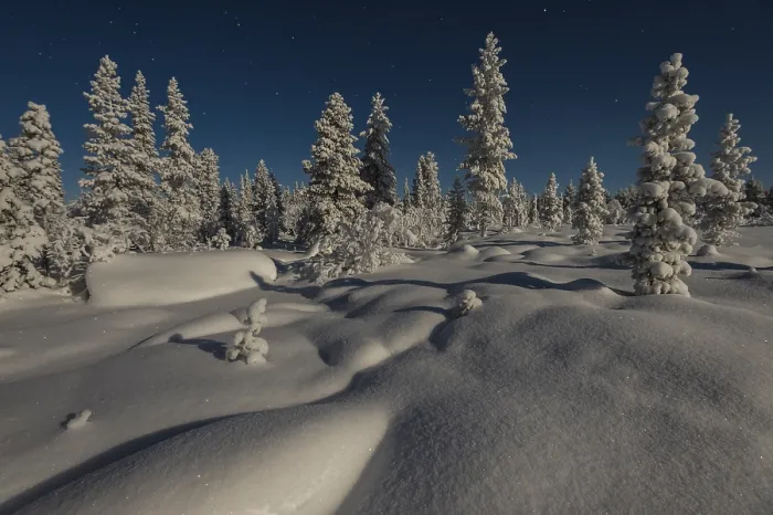 Framed Print : Snowy landscape in the moonlight