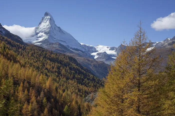Framed Print : Snowy Matterhorn, autumnal trees