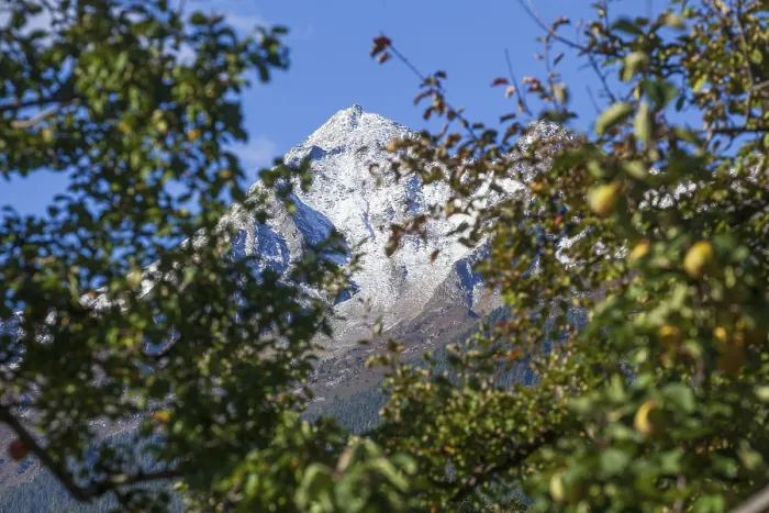 Framed Print : Snowy mountain Brennerspitze in autumn