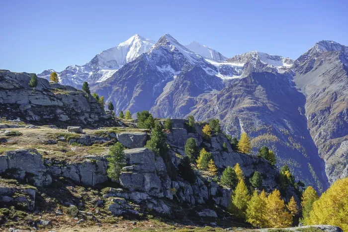 Framed Print : Snowy mountains with autumn trees and rocks under a blue sky