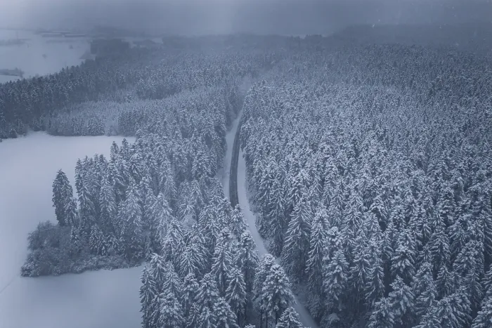 Framed Print : Snowy road and forests under a grey sky