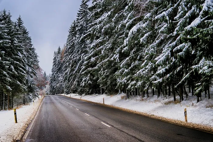 Framed Print : A snowy road leads through a quiet forest Framed Print : A snowy road leads through a quiet forest