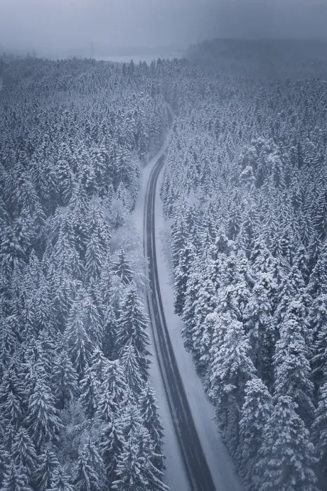 Framed Print : Snowy road snaking through a thick forest