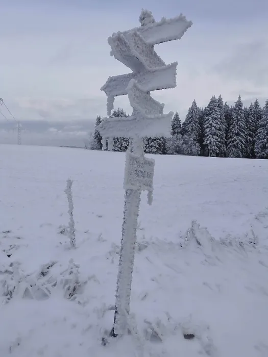Framed Print : Snowy signpost in a winter landscape with forest in the background