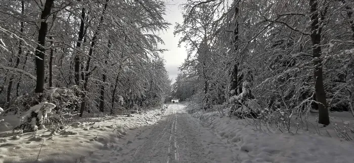 Framed Print : Snowy trail leads through a quiet