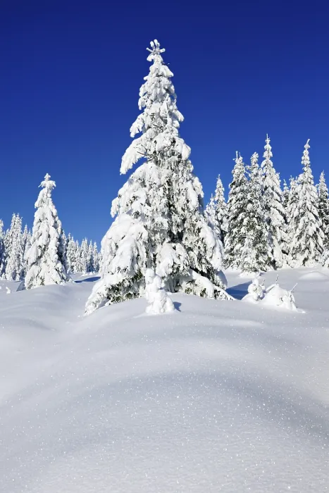 Framed Print : Snowy untouched winter landscape
