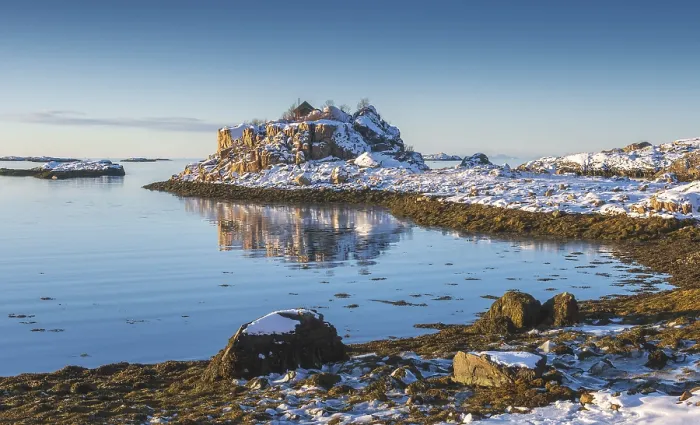 Framed Print : Snowy winter bay with sea grass at low tide Framed Print : Snowy winter bay with sea grass at low tide