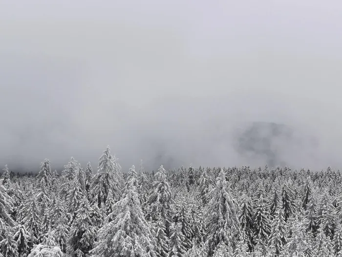 Framed Print : Snowy winter forest under thick fog