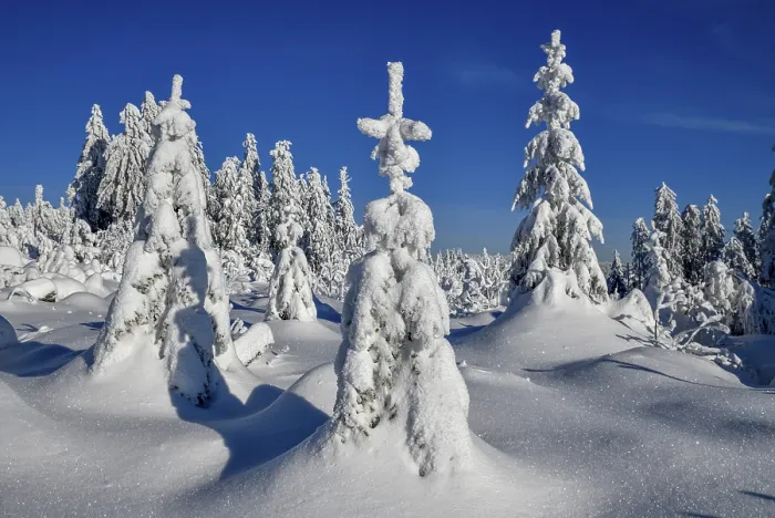 Framed Print : Snowy winter landscape near the Vogelskopf Framed Print : Snowy winter landscape near the Vogelskopf