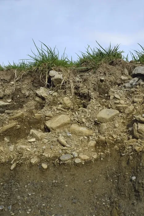 Framed Print : A soil profile showing grass, topsoil and subsoil in Westland
