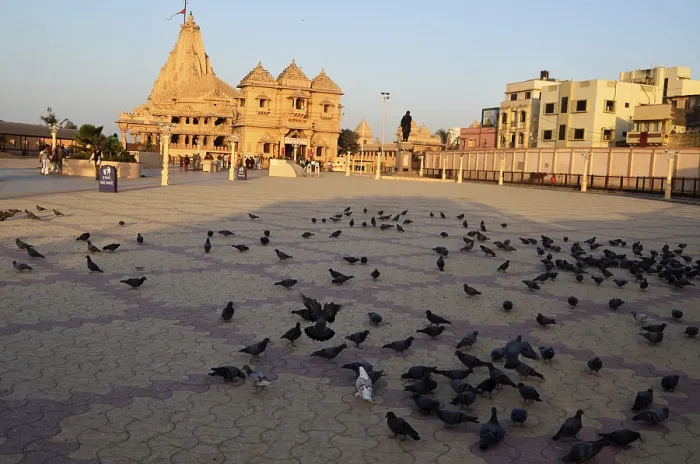 Framed Print : Somnath temple Gujrat India Asia