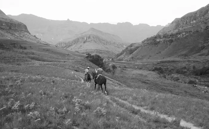 Framed Print : South Africa: Horeseriding in the Drakensberg Mountains Framed Print : South Africa: Horeseriding in the Drakensberg Mountains