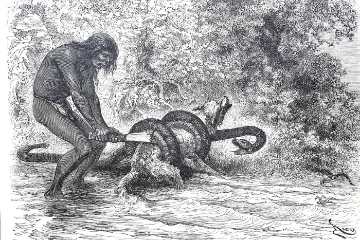 Framed Print : A South American Indian frees his dog from the stranglehold of a boa constrictor constrictor snake
