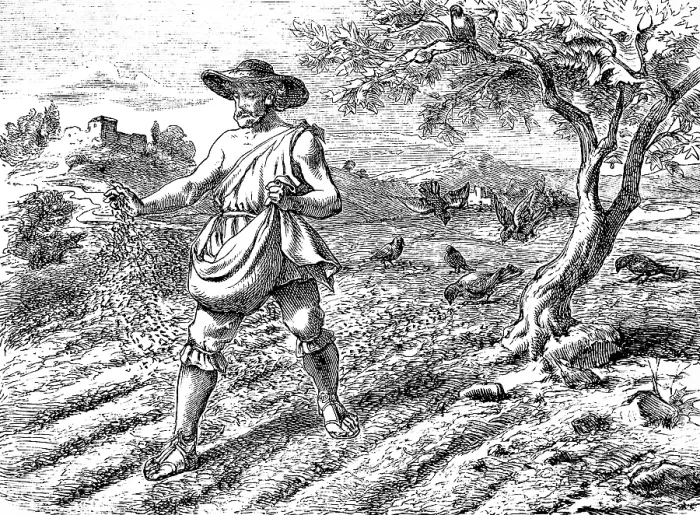 Framed Print : The sower in the field, Gospel of Matthew