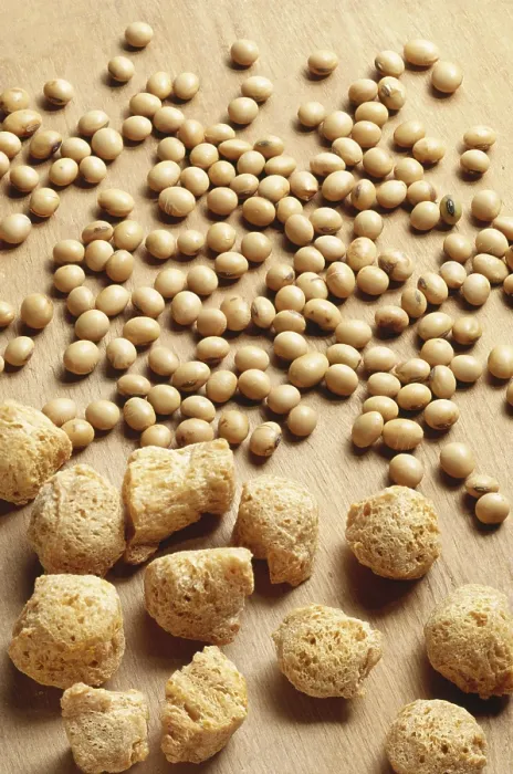 Framed Print : Soybeans and chunks seeds