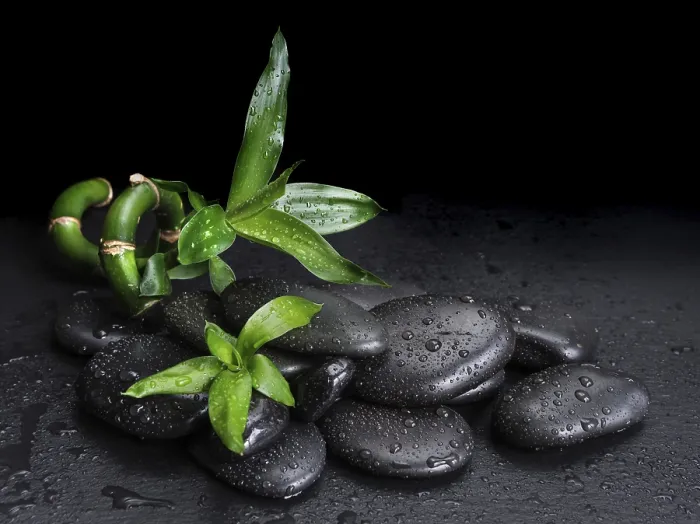 Framed Print : Spa concept with black basalt massage stones and green bamboo sprout covered with water drops on a black background