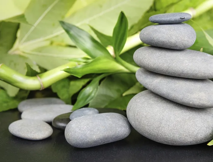 Framed Print : Spa concept with gray basalt massage stones and lush green foliage on a black background Framed Print : Spa concept with gray basalt massage stones and lush green foliage on a black background
