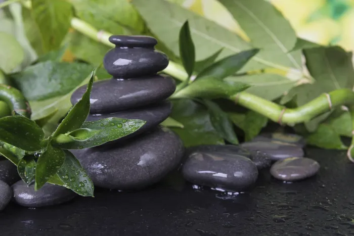 Framed Print : Spa concept with gray wet massage stones and lush green foliage covered with water drops on a black background Framed Print : Spa concept with gray wet massage stones and lush green foliage covered with water drops on a black background
