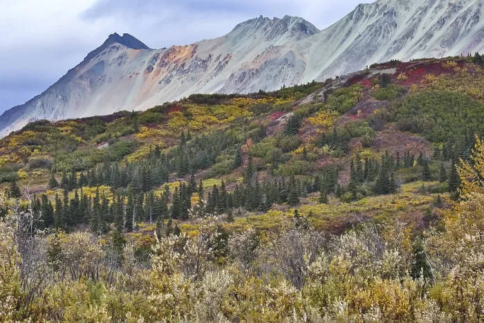 Framed Print : Spectacular colored mountains and fall scenery along the Richardson Highway