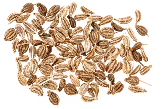 Framed Print : Spices, Ajwain cumin seeds on a white background