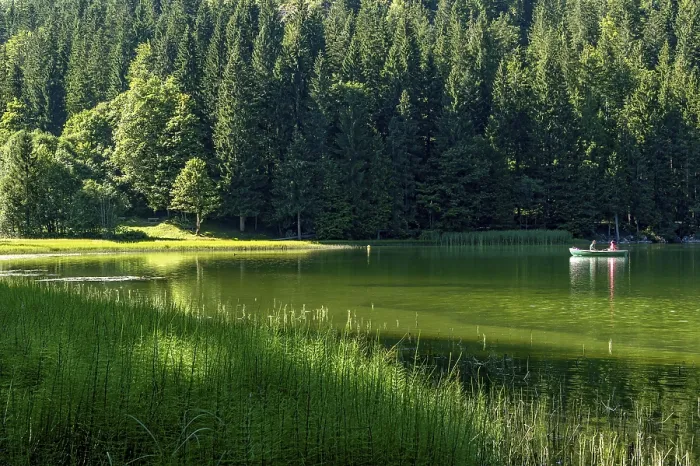 Framed Print : Spitzingsee, mountain lake with pond horsetail