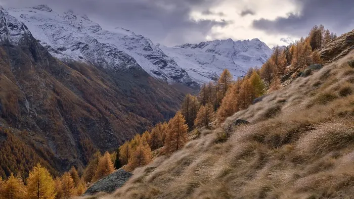 Framed Print : Spotlight on autumn-coloured mountain forest