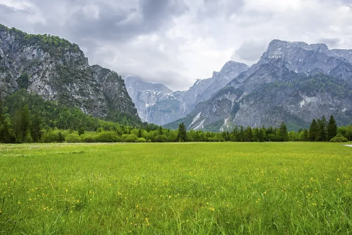 Framed Print : Spring meadow with the Alps in the background on a rainy day Framed Print : Spring meadow with the Alps in the background on a rainy day