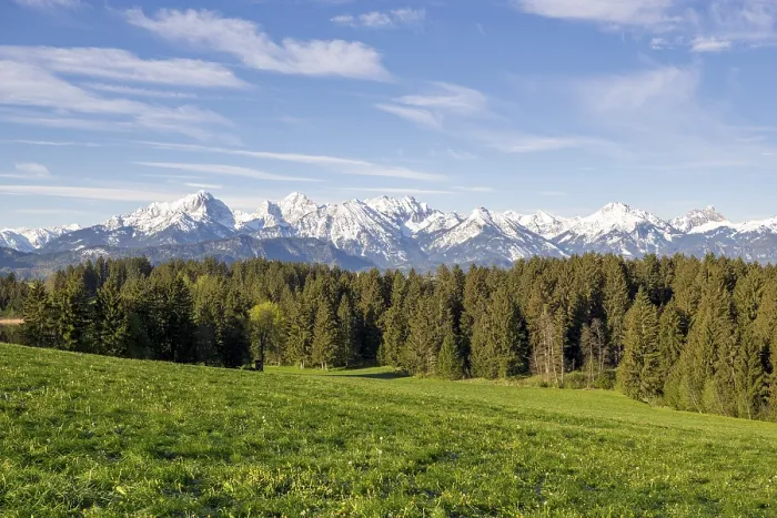 Framed Print : Spring meadow near Fuessen, Allgaeu Alps