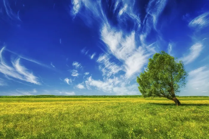 Framed Print : Spring summer background