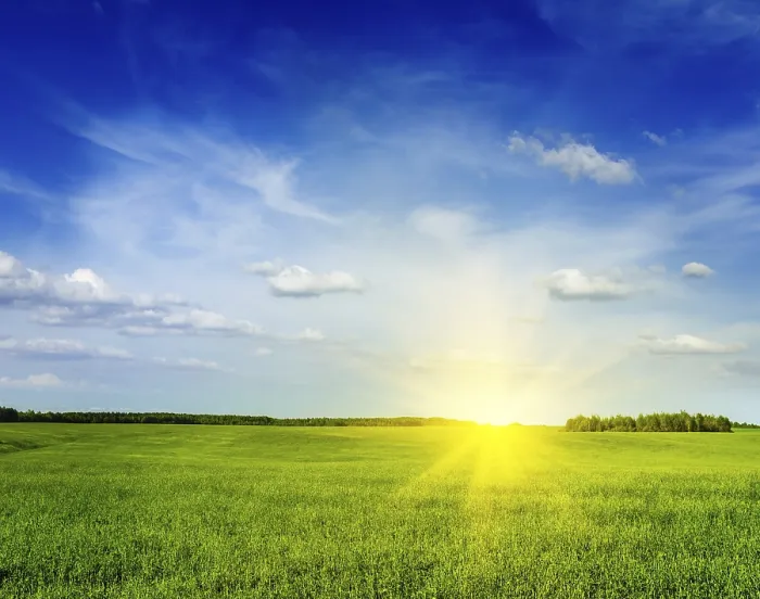 Framed Print : Spring summer background, green grass field meadow scenery lanscape with blue sky Framed Print : Spring summer background, green grass field meadow scenery lanscape with blue sky