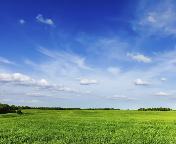 Framed Print : Spring summer background, green grass field meadow scenery lanscape with blue sky