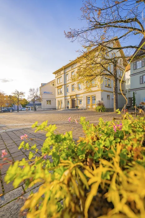 Framed Print : Square with historic building and blooming plants in the foreground in autumn sunshine
