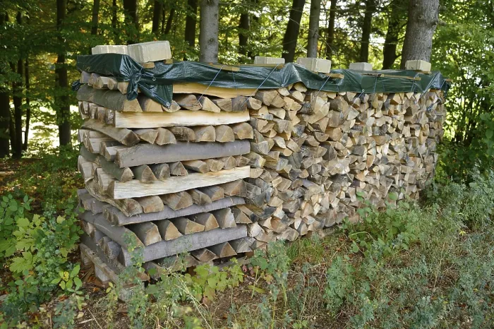 Framed Print : Stack of firewood neatly piled and covered in a forest setting Framed Print : Stack of firewood neatly piled and covered in a forest setting