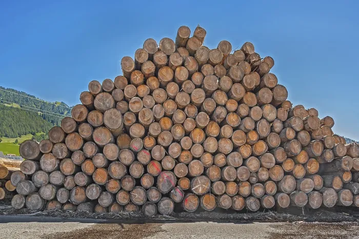 Framed Print : Stacked tree trunks in a sawmill near Hittisau Framed Print : Stacked tree trunks in a sawmill near Hittisau
